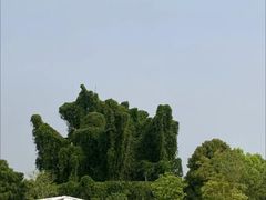 -上海月湖雕塑公园