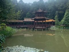 -铁山坪森林公园