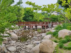 -莲花池公园