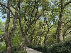 -宁波市保国寺古建筑博物馆