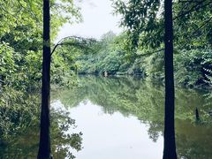 -天目湖山水园