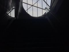 -证大喜玛拉雅中心