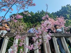 -乌山风景区