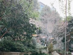 -Wagas沃歌斯(大学路店)