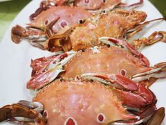 -老字号蛇口德记烧腊饭店·海鲜加工