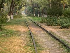 -永定河休闲森林公园