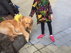 -宁波杉井奥特莱斯广场