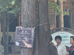 -大理文庙(大理古城)