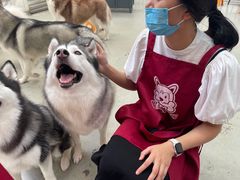 -星多哈·狗咖·拼豆·咖啡