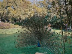 -J Create城市露营咖啡·简餐·宠物(上海动物园店)