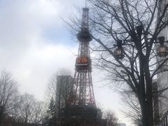-札幌电视塔