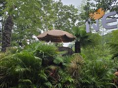 -宜兴龙背山森林公园