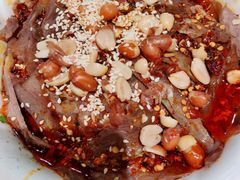 -曾牛肉