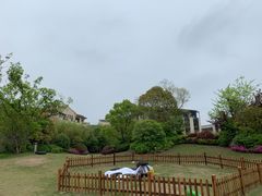 -上海崇明金茂凯悦酒店