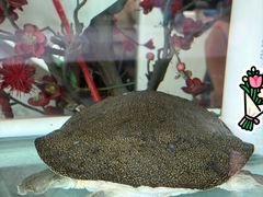 -上地宴·中关村的会客厅(清河高铁站店)