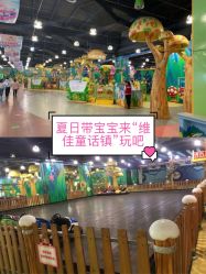 -维佳童话镇演出现场(徐东店)