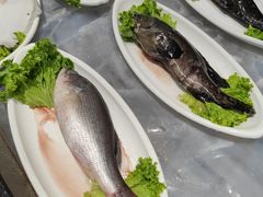 -奉天大饭店(澳海澜庭店)