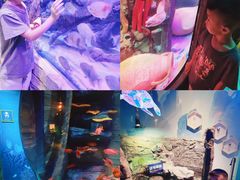 -沈阳海洋探索中心