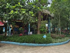 -美的鹭湖探索王国