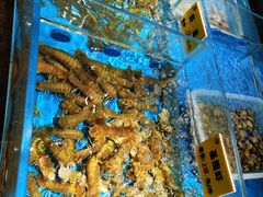 -天禧(西溪店)
