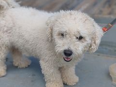 -乡乐园蟹庄·阳澄湖农家乐