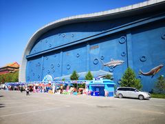 -泉城欧乐堡海洋极地世界