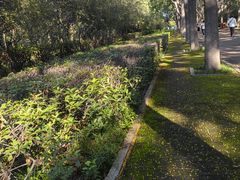 -洛阳市隋唐城遗址植物园