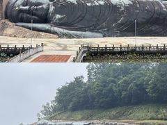 -三水森林公园