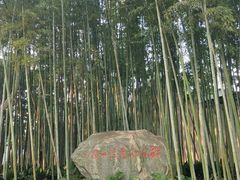 -上海醉白池公园