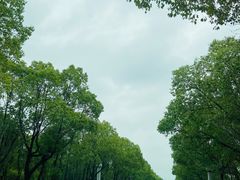 -渭塘酒家(生态园店)