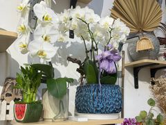 -FEI FEI FLOWER鲜花店·气球派对·宝宝宴布置(虹口德必运动Loft店)
