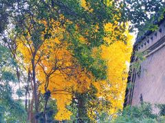 -西安市广仁寺