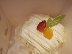 -蒲公英(五里店)