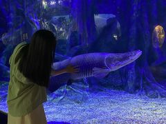 -江和美海洋公园