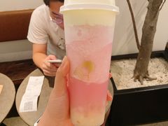 多肉粉荔-喜茶(中山白水井店)
