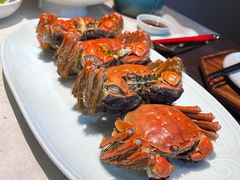-青玉案·生日宴·纪念日·家宴主题餐厅(太湖西路店)