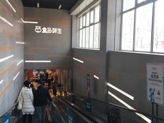 -盒马鲜生(红莲店)