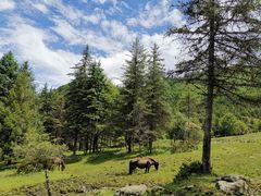 -硗碛藏寨·神木垒景区