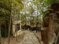 -云幽谷旅游区