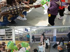 -中国西峡恐龙遗迹园