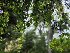 -墨江北回归线标志园