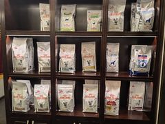 -宠爱国际动物医院·消化内科·心肾内科·ISFM猫友好(望京店)