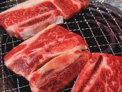 安格斯牛仔骨-赤铁扒拉锅·烤串·烤鸽子