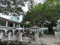 -九龙公园