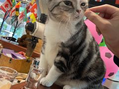 -咖法森林·咖啡  酒吧(天河店)