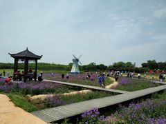 -武汉紫薇都市田园