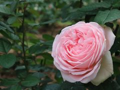 -人民公园(罗湖区)