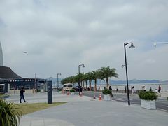 -野狸岛