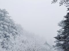 -峨眉山风景名胜区