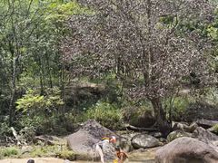 -增城大丰门漂流